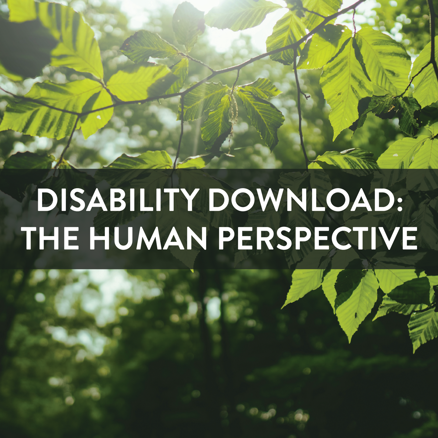 Shows the title of the video Disability Download: The Human Perspective with green leafy foliage in the background and the sun shining through.